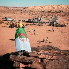 Mimosa Mimosa, 01.11, Alger