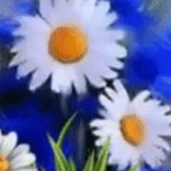 Ксения Дмитрук, 11.07, Харьков