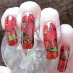 Галя Кохана, 17.02, Львов