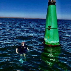 Алексей Андреев, 01.11, Ялта