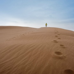 Константин Терентьев, 27.04, Москва