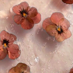 Солта Ю, 28.03