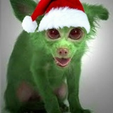 Александр Савельев, 15.10