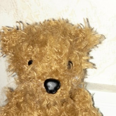 Саша Комарова, Москва