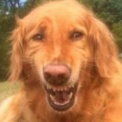 Василий Васильков, 14.01