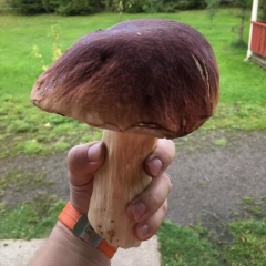 Сергей Кузнецов, 03.09