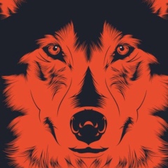 Александр Есипчук, 26.06, Звенигород