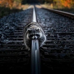 Кирилл Шешуков, 03.05, Сургут