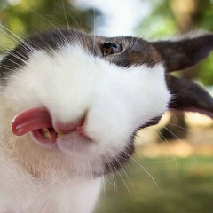 Денис Калымииц, 06.04.1983, Северодвинск