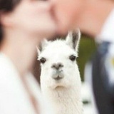 Alexander Vladimirovich, 18.09