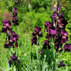 Мария Кукушкина, 01.07