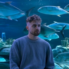 Анатолий Локтионов, Москва