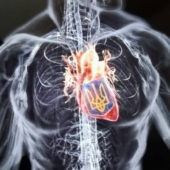 Алексей Павлюк, 18.11, Parma