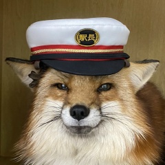 Виктор Савушкин, 16.04, Москва