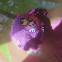 Алексей Кукол, 10.01, Москва