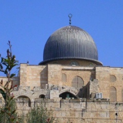 Ахмад Ахмедов, 07.02.1994, Москва