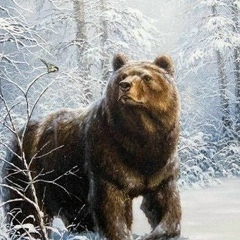 Виталий Васильков, 01.01.1991, Москва