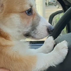 Виктор Федосов, 15.04.1990, Волово (поселок)