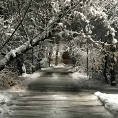 Арман Сериков, 28.07