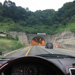 Владимир Викторович, Suva