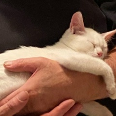 Александр Северин, 06.11.1958, Нелидово