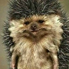 Андрей Костышев, 28.02.1974, Сыктывкар