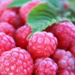 Антонина Глинка, 07.01