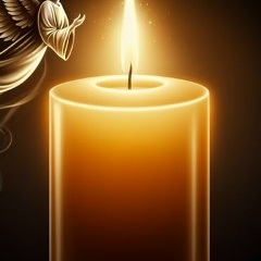 Светлана Усова, Вологда