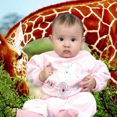 Кумисбек Бодыбаев, 11.11.1967, Алматы