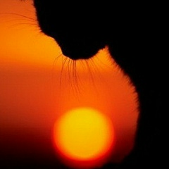 Наталья Акимова, 29.04, Пермь