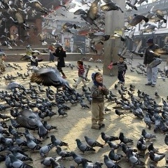 Александр Константинов, 16.01, Краснодар