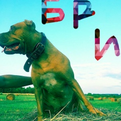 Иван Чеканов, 01.04.1979, Краснодар