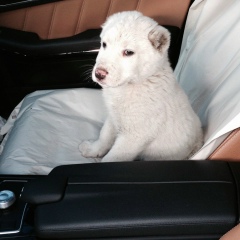 Сергей Сергеев, 24.03, Москва