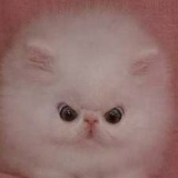 Ходок Иркутский, 24.02, Иркутский