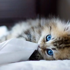 Светлана Папонова, 18.02.1990, Тула