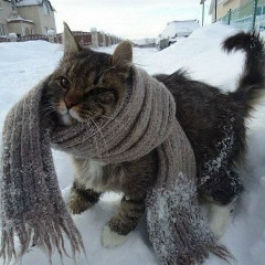 Юрий Решетников, Атырау