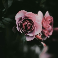 Светлана Склёма, 12.08, Владивосток