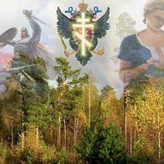Валера Беляев, 05.09, Санкт-Петербург