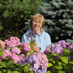 Наталья Суркова, Санкт-Петербург