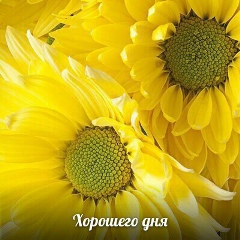 Татьяна Гаврильева, 30.03, Санкт-Петербург