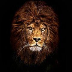 Болот Акеншаев, 01.09.1990, Бишкек