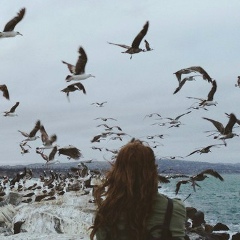 Anna Golub