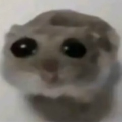 Витя Кислый, Полоцк