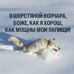Андрей Кириллов, 04.04.1984, Санкт-Петербург