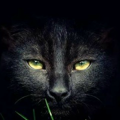 Ольга Галузян, 02.03.1989, Шымкент