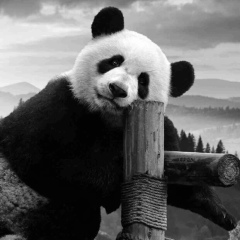 Тологон Кочкорбаев, 14.09, Астана