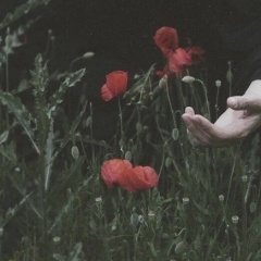 Фа Т, Грозный