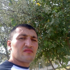 Улугбек Ташкулов
