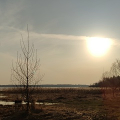Анна Черешнева, Солнечногорск