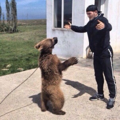 Бека Чемп